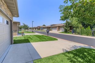 Tera Vera - Photo 1 of 1