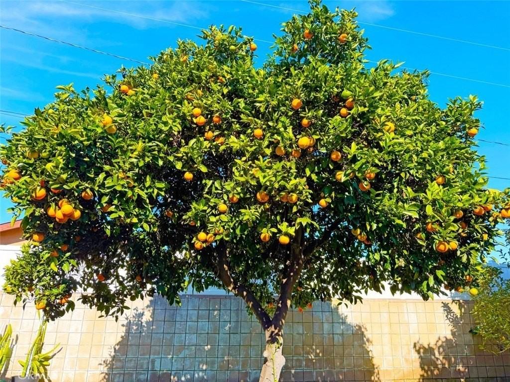 22706 Rashdall Ave - Photo 6 of 32