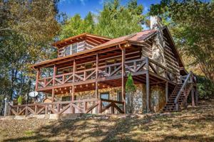 featured image of 212 Dogpatch Ln