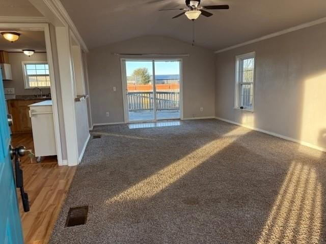 601 County Road 274 - Photo 4 of 20