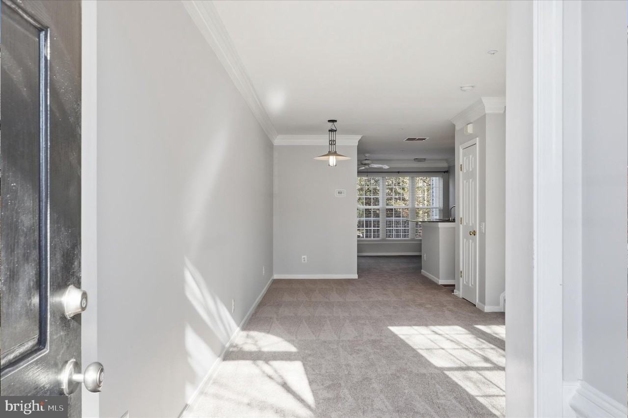 5916 Terrapin Pl - Photo 4 of 30