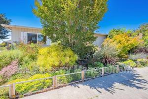 featured image of 515 Cayuga St