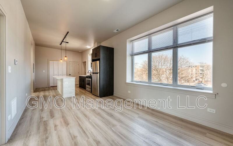 1427 S Kedzie Ave #2A - Photo 5 of 34