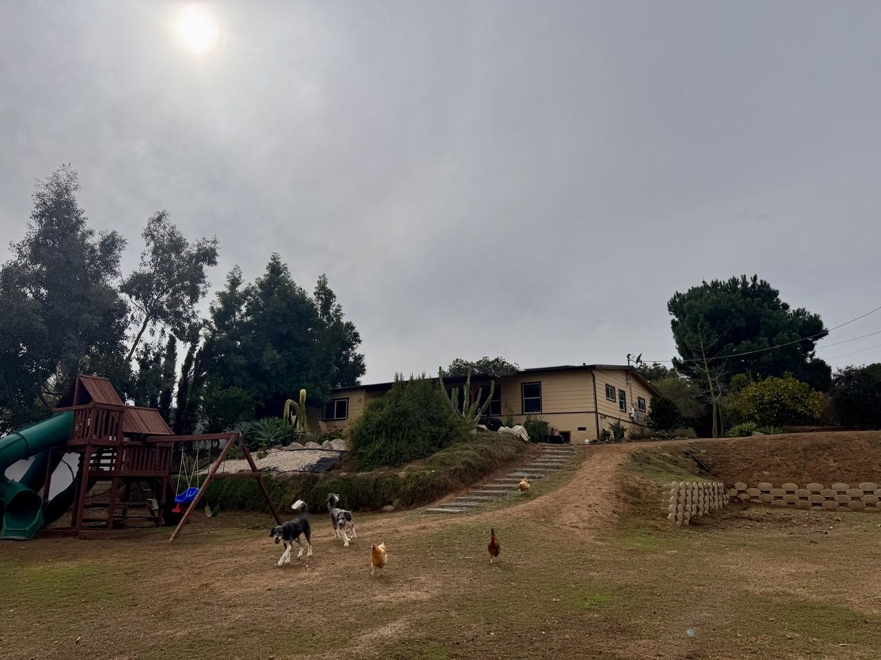 221 Sage Rd #NA - Photo 3 of 22