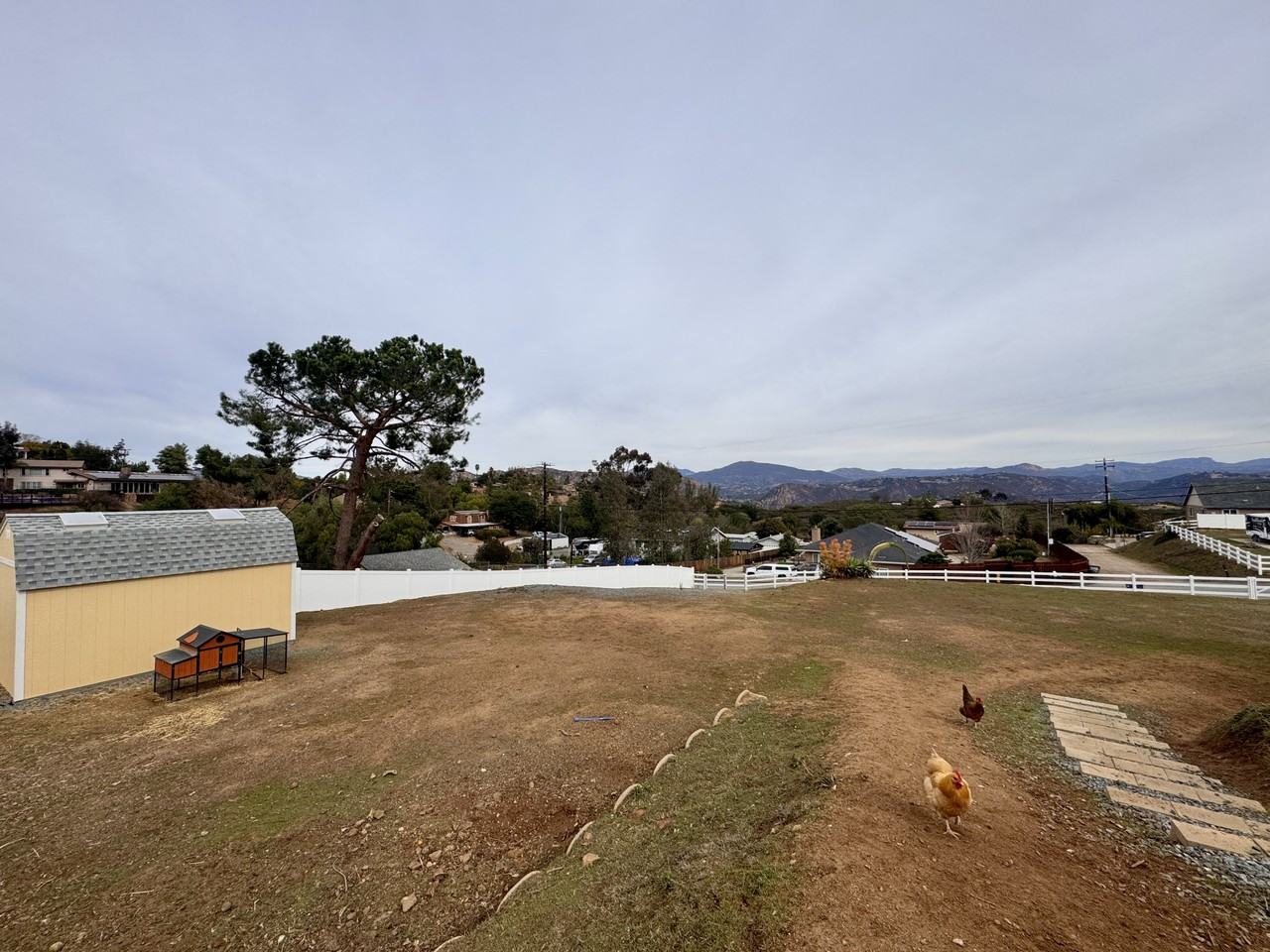 221 Sage Rd #NA - Photo 7 of 22