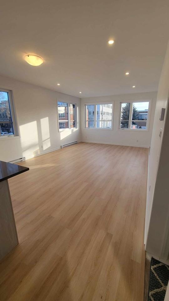 8901 Rue Verville - Photo 4 of 10