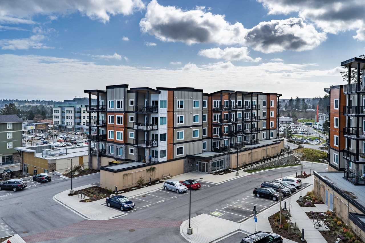 Aurora - Photo 3 of 9