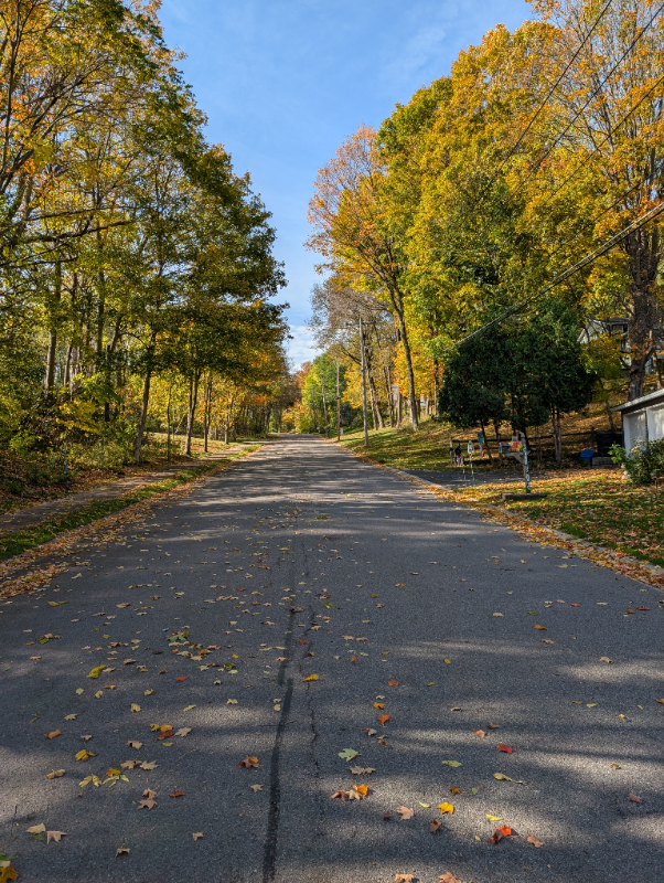 109 Glade Ridge Ct - Photo 4 of 6