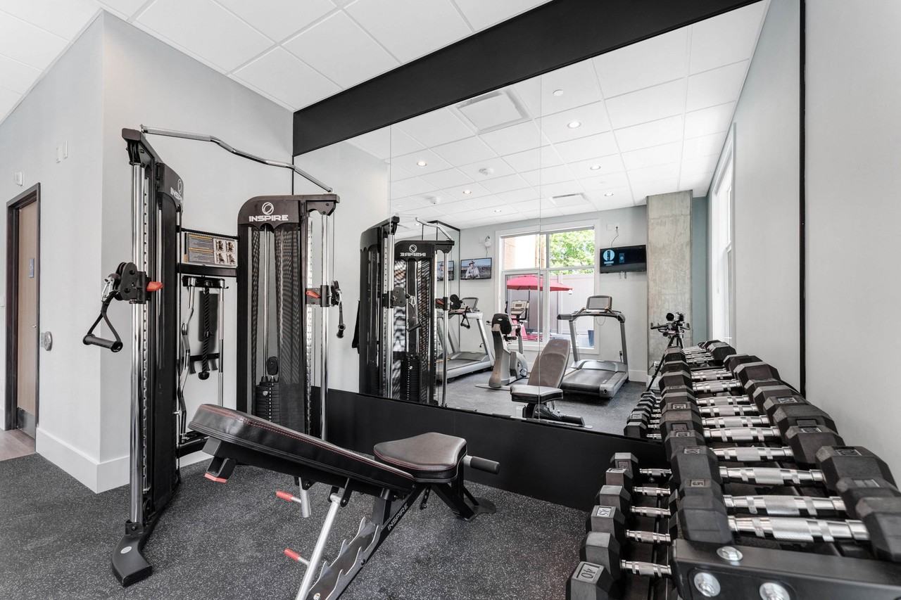 Evo Ottawa at 280 O'Connor - Photo 7 of 10