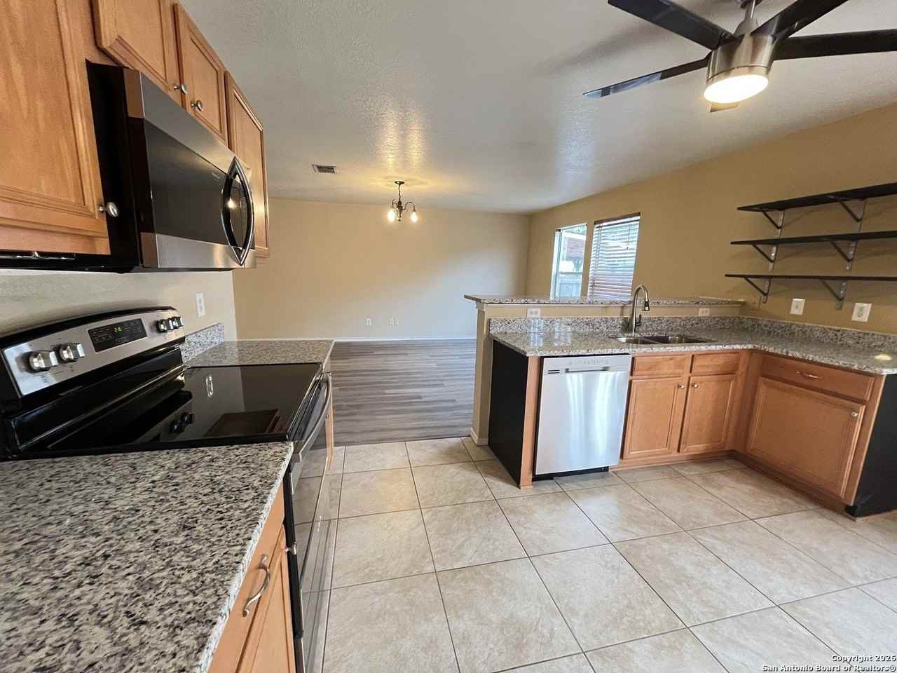 4807 Appaloosa Run - Photo 3 of 11