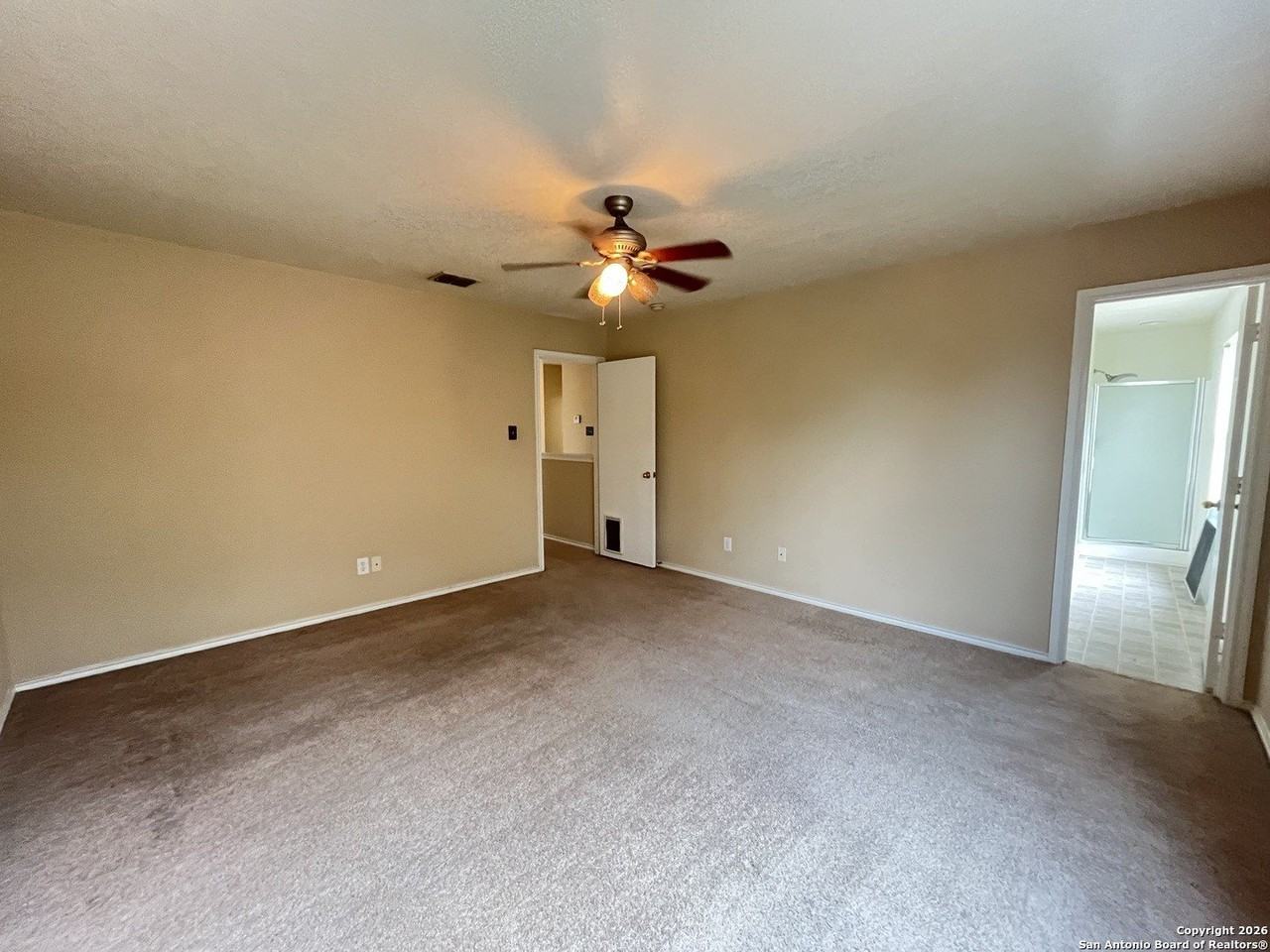 4807 Appaloosa Run - Photo 4 of 11