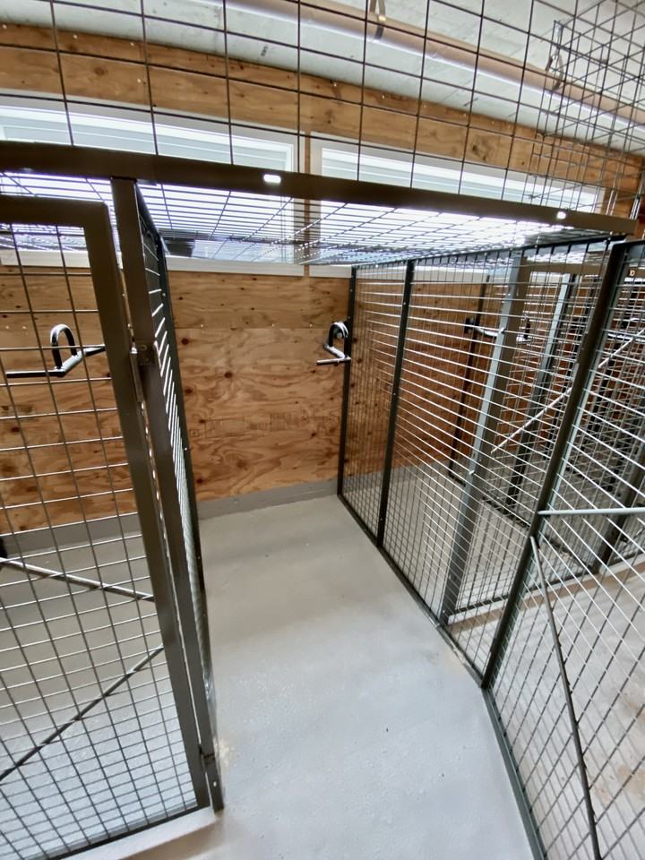 38033 2 Avenue #513 - Photo 4 of 26