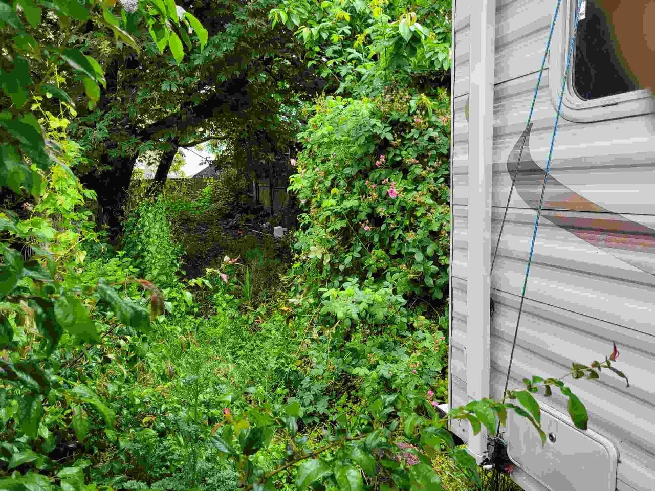 1201 Maxwell Rd #B - Photo 4 of 18