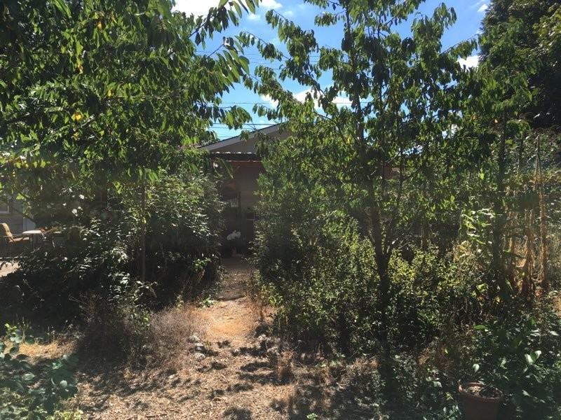 1201 Maxwell Rd #B - Photo 6 of 18