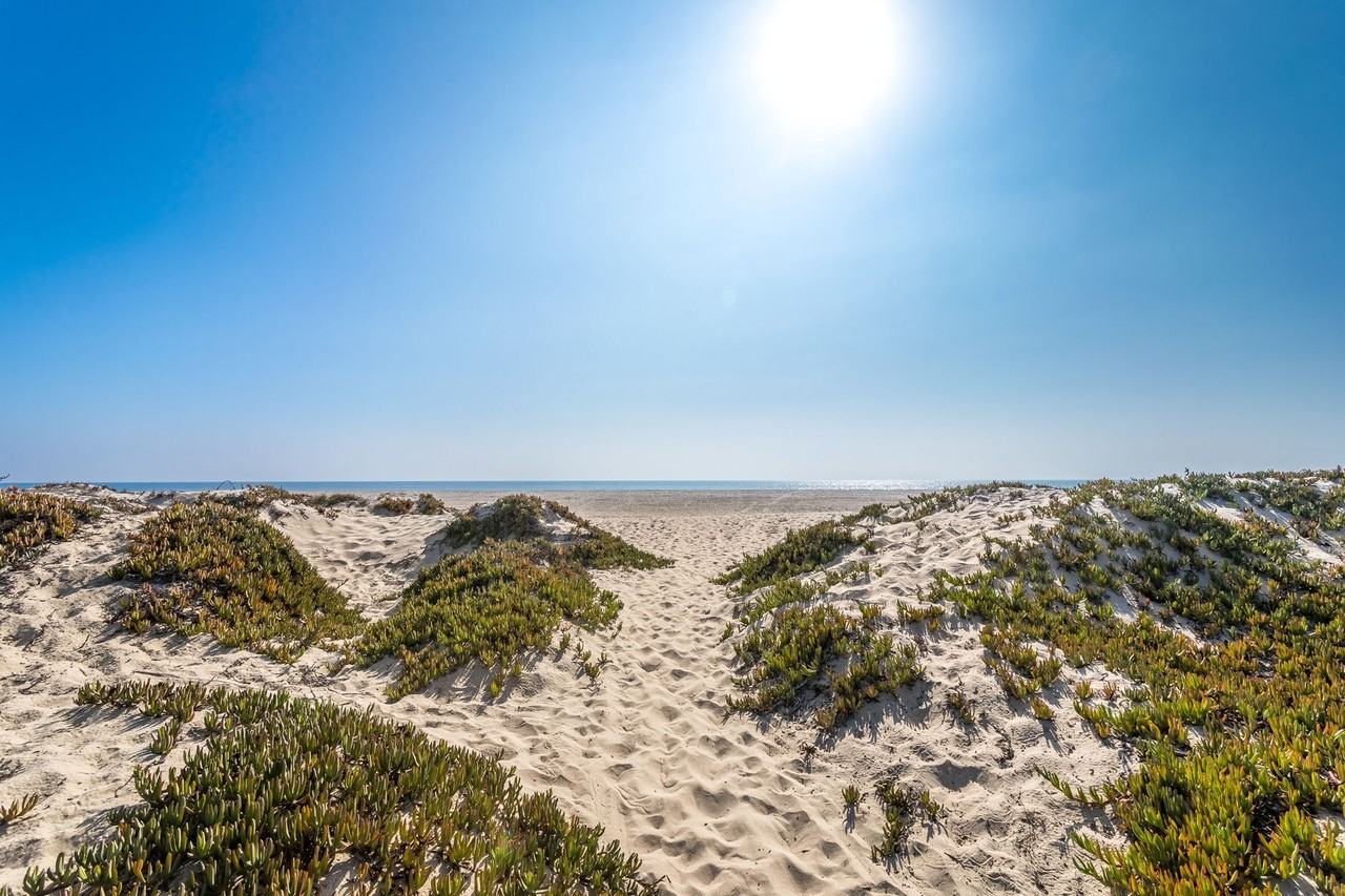 645 Sunfish Way #0 - Photo 2 of 22