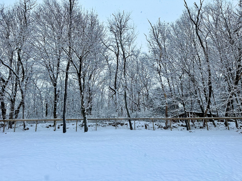 4 Maplewood Dr - Photo 7 of 39