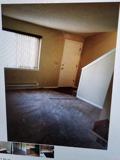 430 Metzler St #3 - Photo 1 of 1