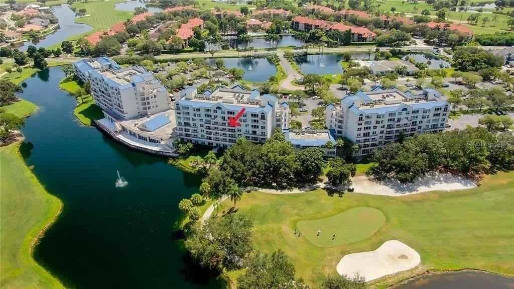 2333 Feather Sound Dr #B304