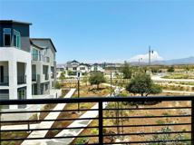 283 Lynx - Photo 1 of 1