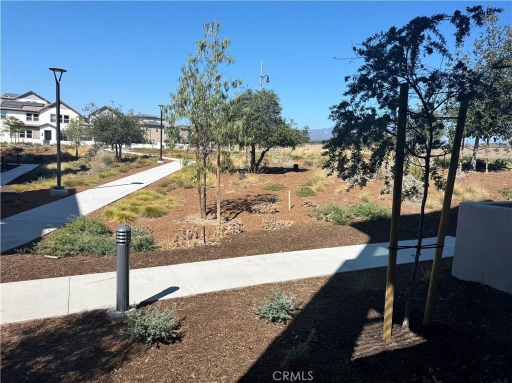 283 Lynx - Photo 5 of 28