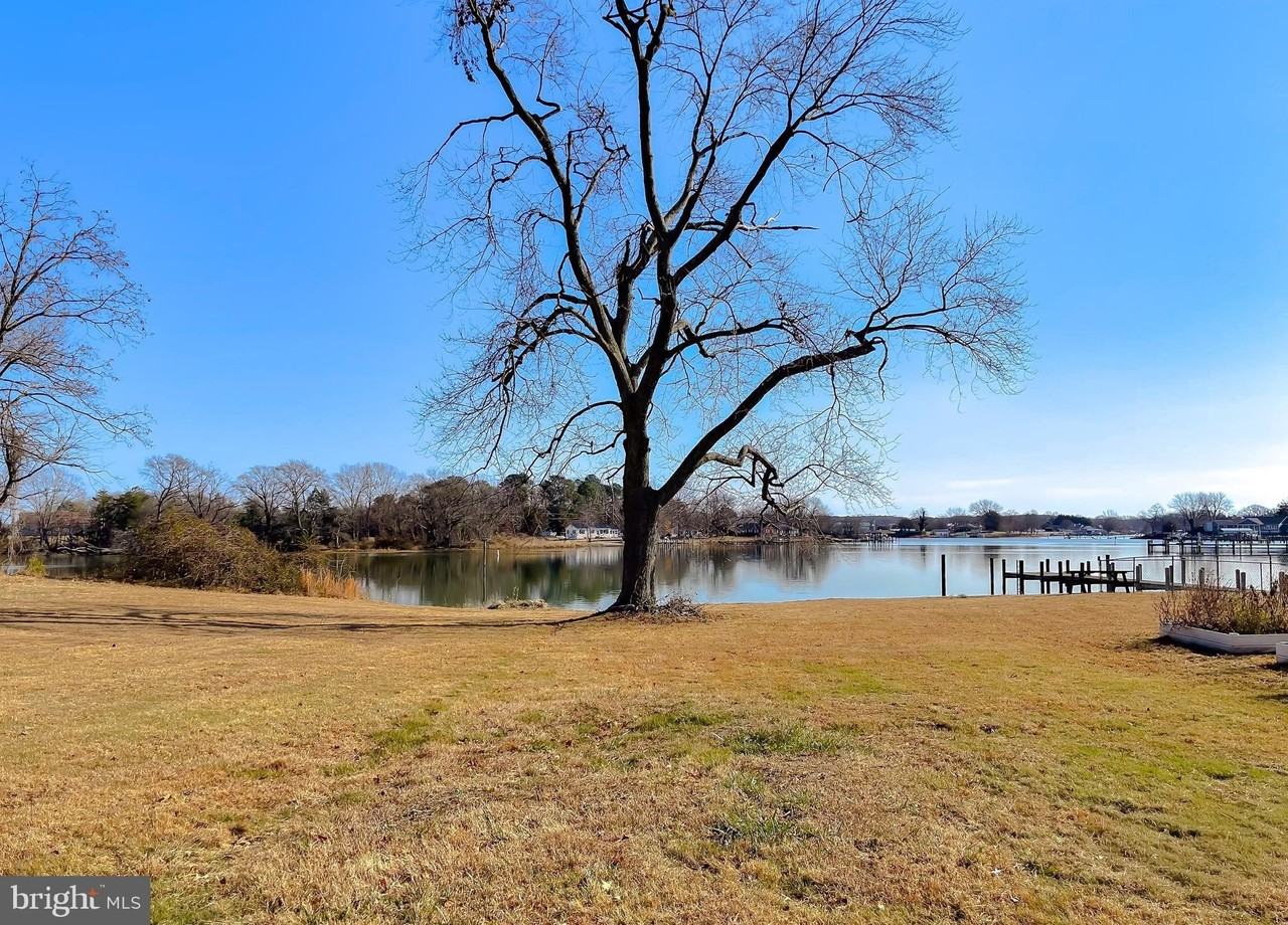 37117 Moore Rd - Photo 5 of 45