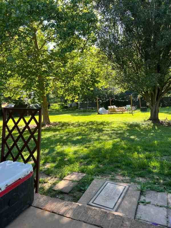 1408 Scarlett Ohara Ct - Photo 2 of 27