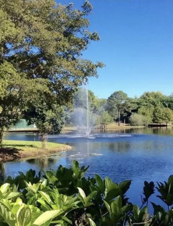 110 Ridge Dr #A - Photo 3 of 23