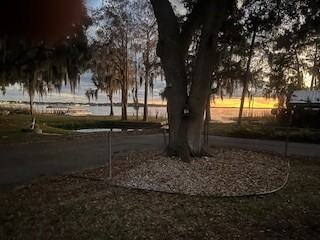 201 Mae St #1 - Photo 3 of 22