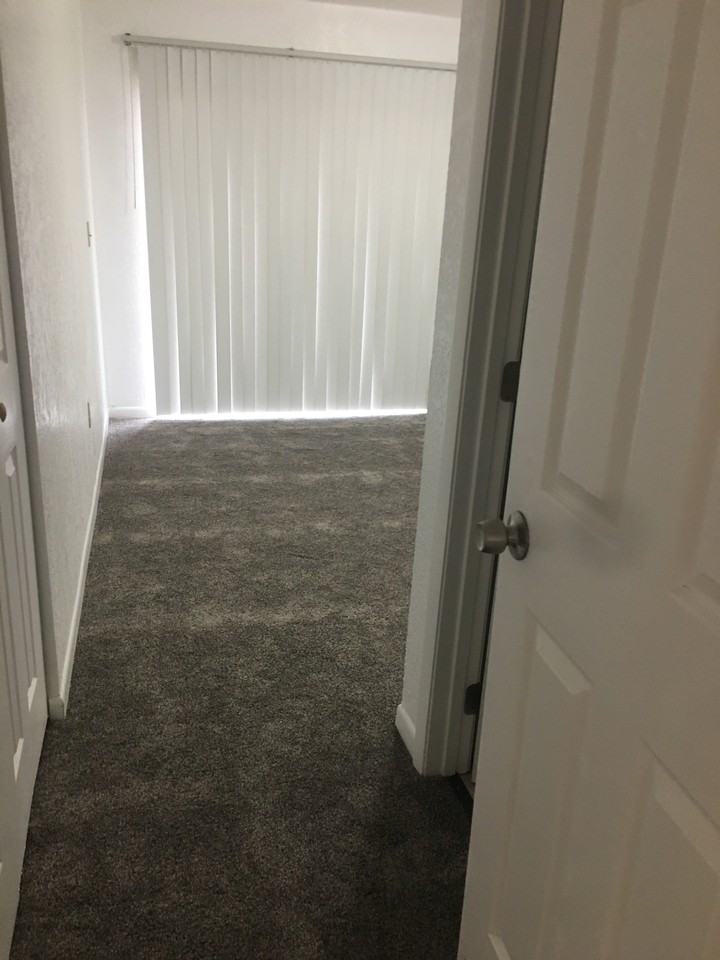 917 Shirley Ann Trail - Photo 2 of 7