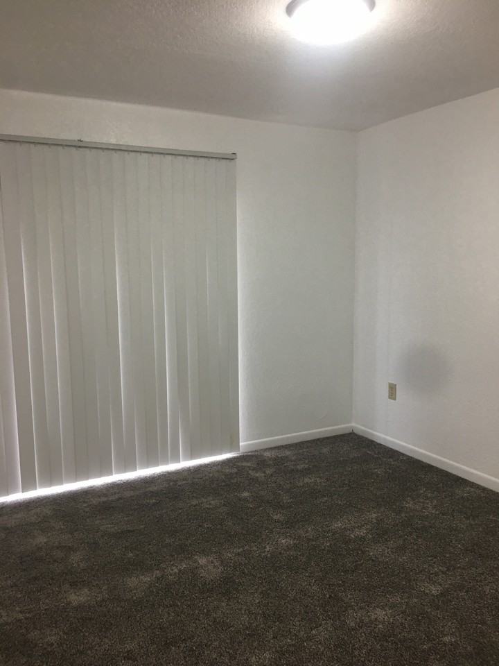 917 Shirley Ann Trail - Photo 3 of 7