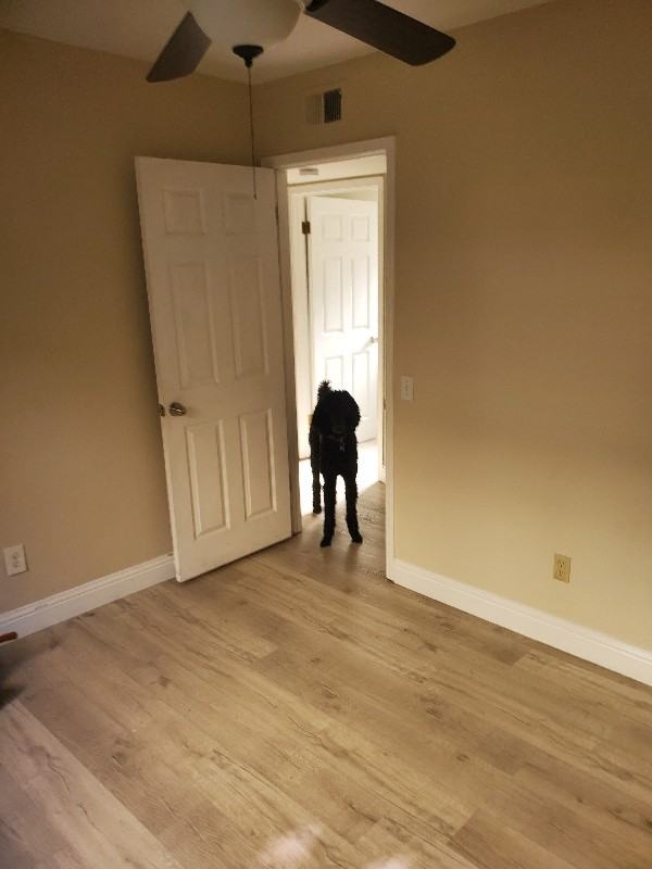 21271 Avenida Nubes - Photo 3 of 10