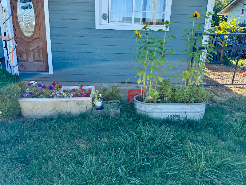 3360 Brown Rd Ne - Photo 2 of 20