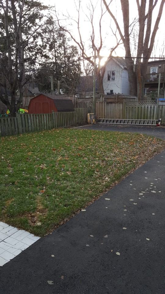 214 Coxwell Avenue - Photo 4 of 13