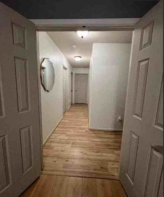 Snowy River Dr - Photo 4 of 15