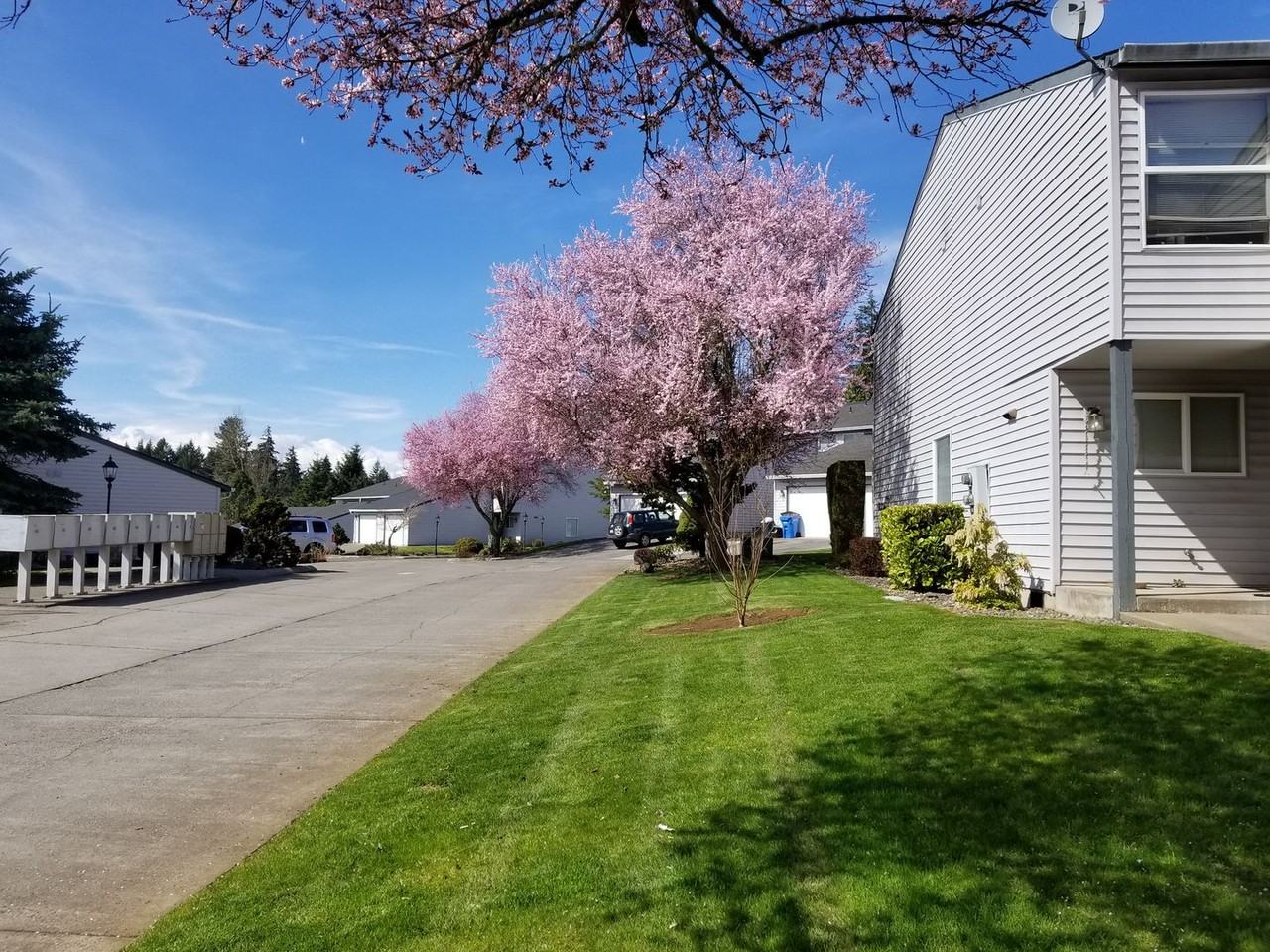 Whipple Creek - Photo 7 of 40