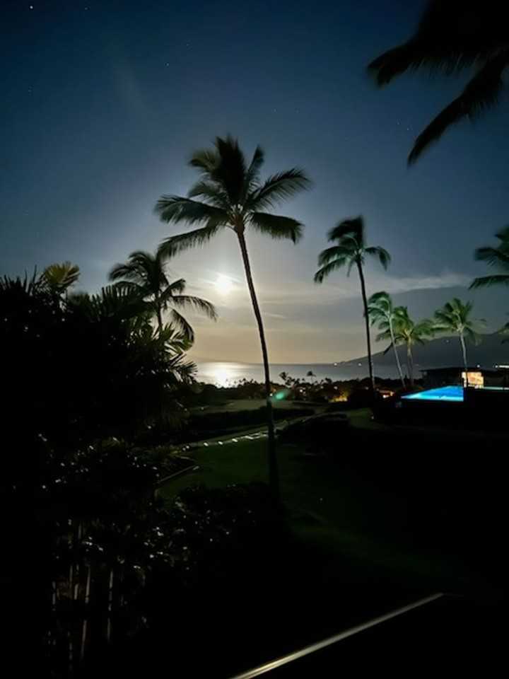 30 Kainehe Pl #3A - Photo 3 of 24