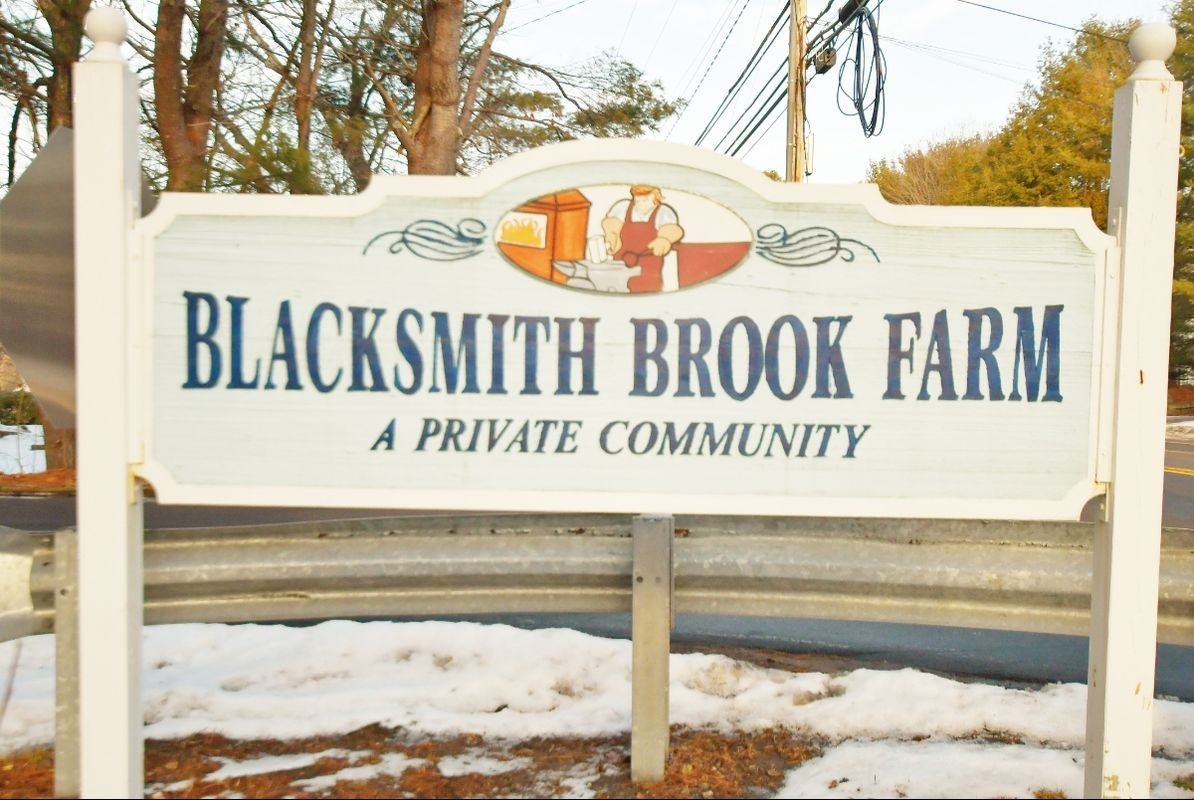 54 Black Smith Rd - Photo 2 of 31