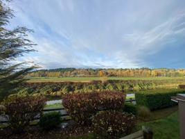 featured image of 14487 147th Pl Ne