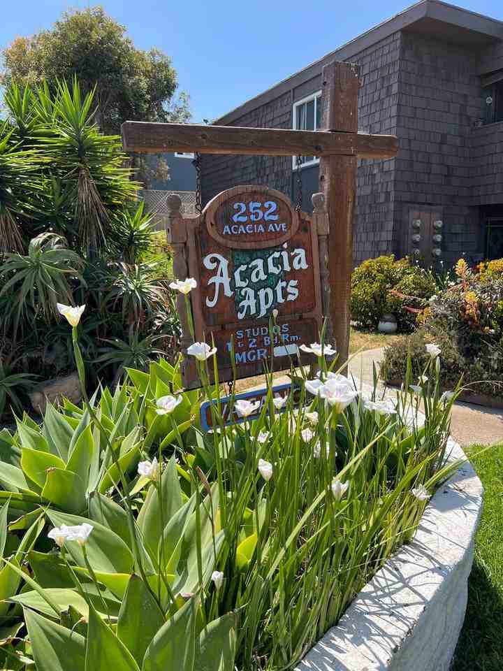 Sea Chase (Acacia Avenue) - Photo 3 of 28