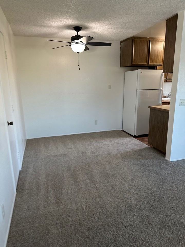 Sea Chase (Acacia Avenue) - Photo 5 of 28