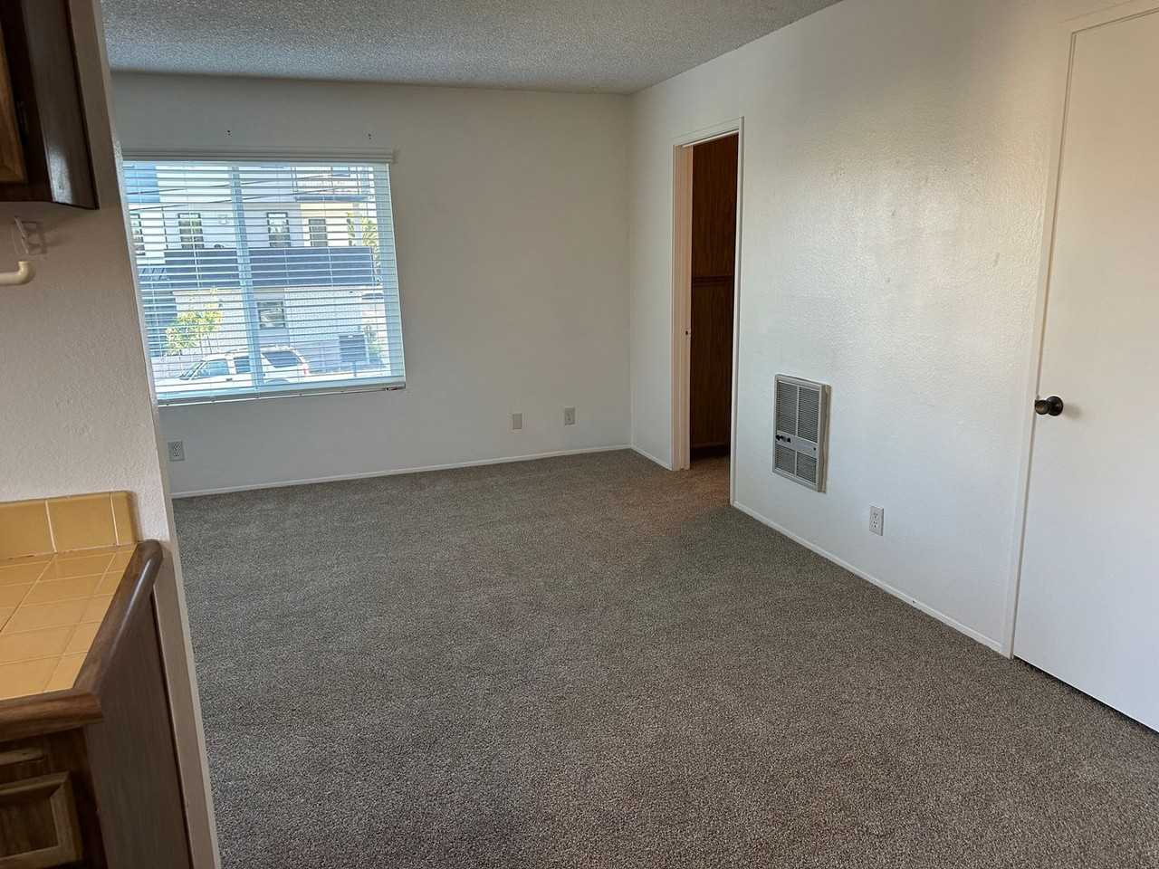 Sea Chase (Acacia Avenue) - Photo 7 of 28