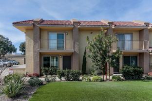 sun174 - Photo 1 of 1