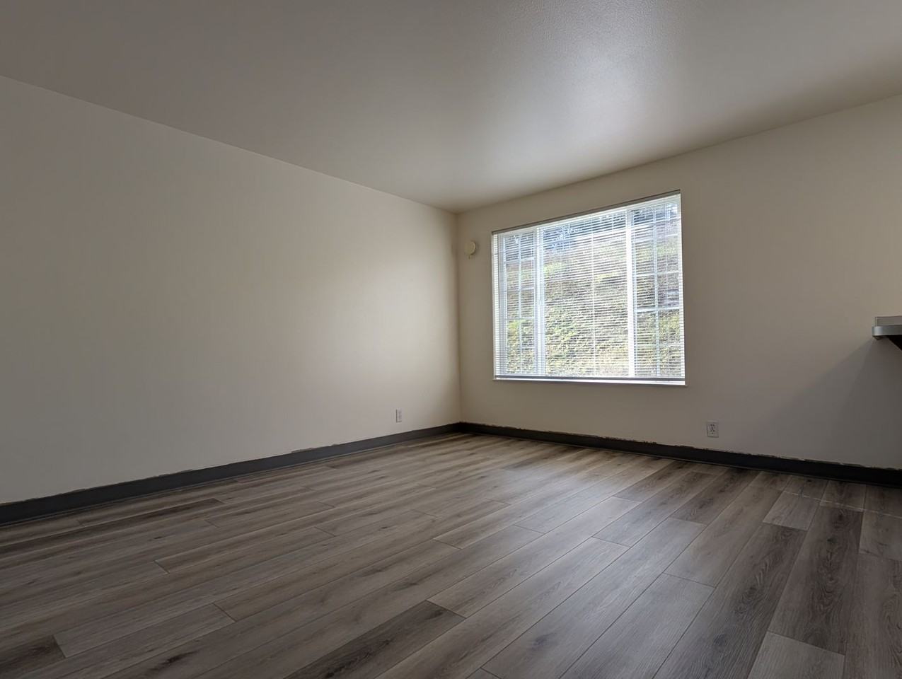 2159 Bailey Hill Rd #3 - Photo 6 of 14