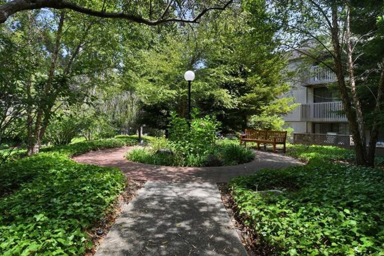 1207 Shelter Creek Ln - Photo 2 of 16