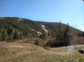 123 Cinnamon Ridge III #123 - Photo 1 of 1