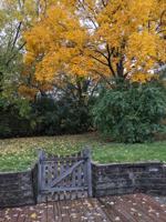 featured image of 2142 Kensington Dr