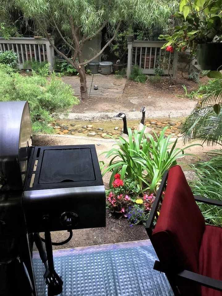 1066 Summershore Ct - Photo 7 of 7