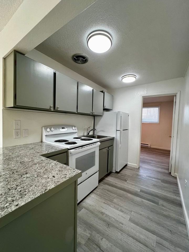 Mt Stuart - Photo 5 of 28