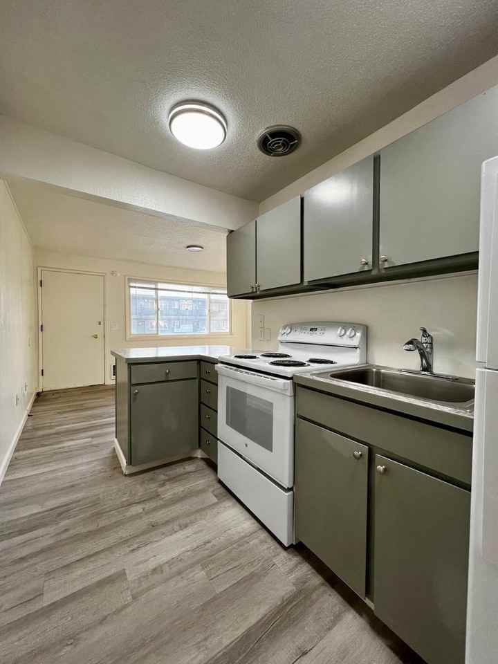 Mt Stuart - Photo 6 of 28