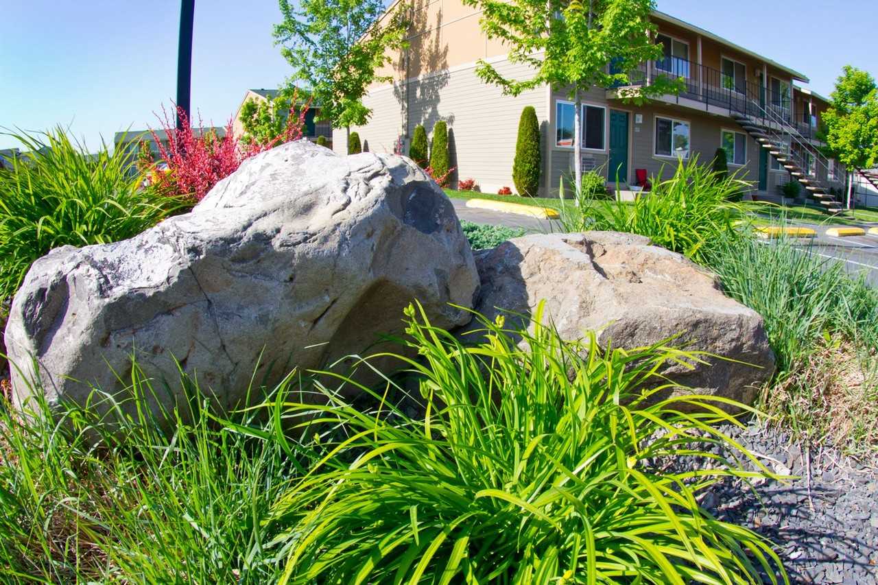 Meadow Park - Photo 3 of 17